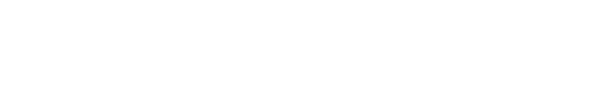 logo sonm white